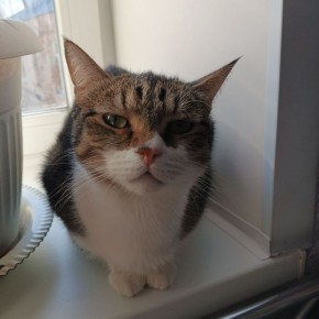 В пятницу 20 марта в Саратовской области будет облачно с прояснениями