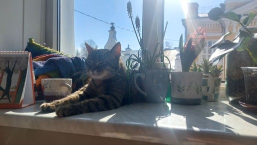 � ����������� 22 ����� � ����������� ������� ������ ���������� �� +14��