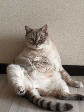 ������� ������ �� 23 ����� � ����������� �������