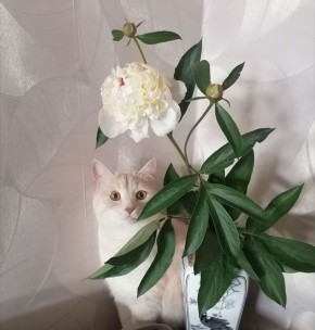 Во вторник 24 марта в Саратовской области - переменная облачность