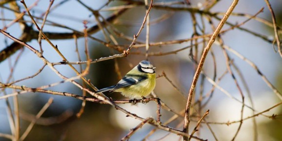 � ����������� ������� ������ �������� � ������������ ������ � ����������� �� +10