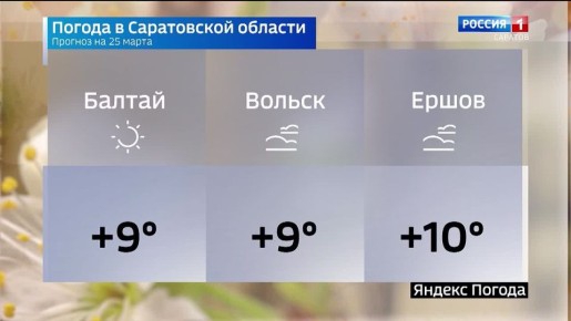 �� 25 �����