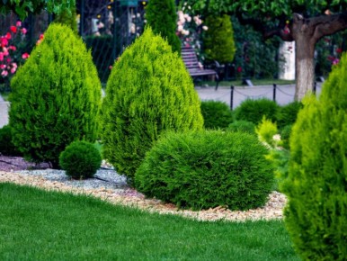 ��� ������� ��������� �������: ������������ ����������� ��� ���������