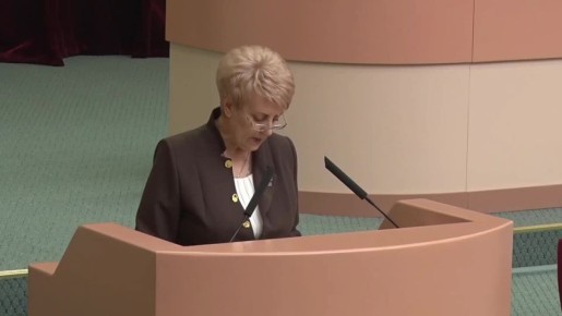 Подготовили обзор 75 заседания Саратовской областной Думы