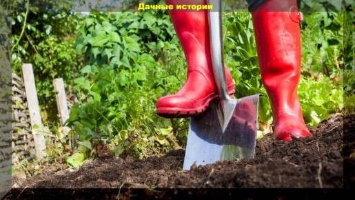 ������� ��������� �����: ��� �������� ������ �� ����