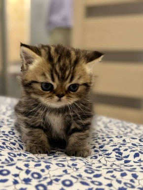 В четверг 26 марта в Саратовской области ожидаются дожди