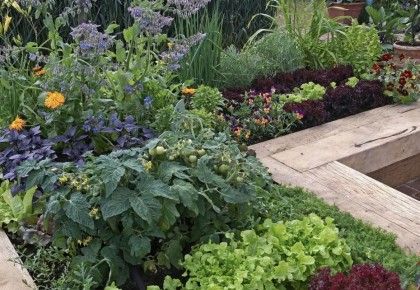 Как использовать воду после стирки в уходе за растениями