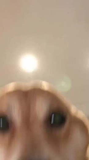 Доброго утра и хорошего дня!