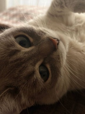 В субботу 28 марта в Саратовской области будет тепло