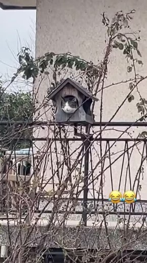 ������ � �������� �� �������� ��������� ���������