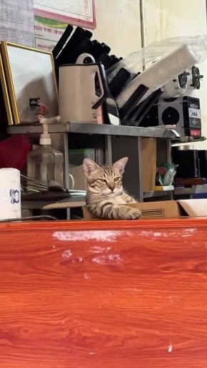 Ну директор, не иначе)