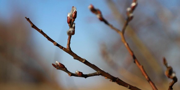 � ����������� ������� ���� ������� ��������� ����� � ���������� �� +19 ��������