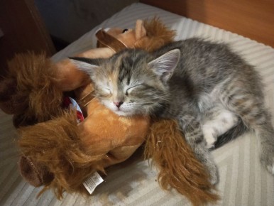 В воскресенье 29 марта в Саратовской области будет облачно