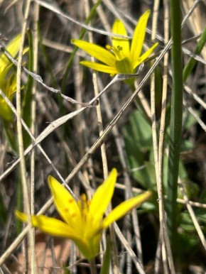 ���������� ��������� � ����������� �����