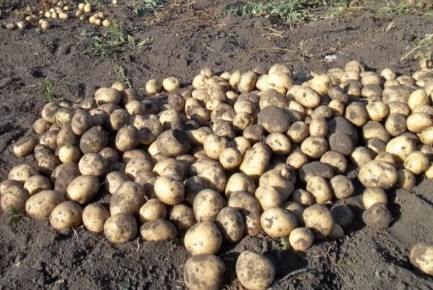 ��� ��������� ��������� ��� �����: ����� ������ �� ��������� ������