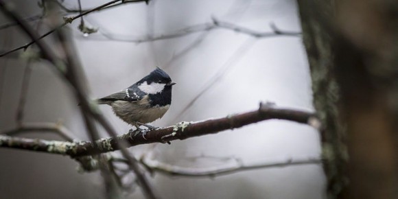 ����������� ������������ � ������������ �� +19 � ������� � �������