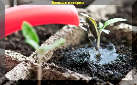 ����� ������� �������: ������ � ������� ��� ��������� �����