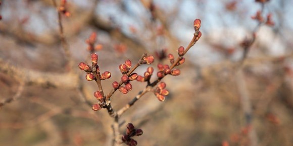 � ����������� ������� ������������ ������ ������ � ������������ �� +20