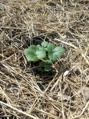 ��� ������� ������ ������ � ��� �� �����