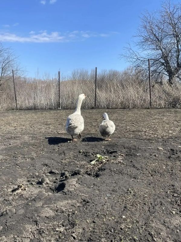 � ������� 2 ������ ������� �� ����������� ������� ��������� �����