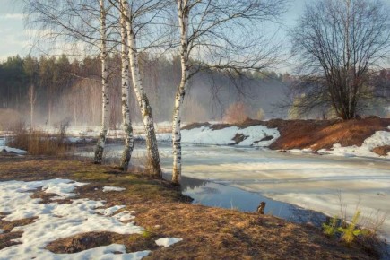 Незабываемая идея: Новый год на 1 марта