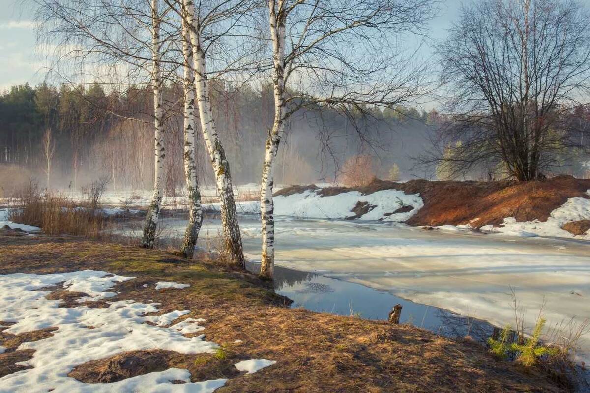 Незабываемая идея: Новый год на 1 марта