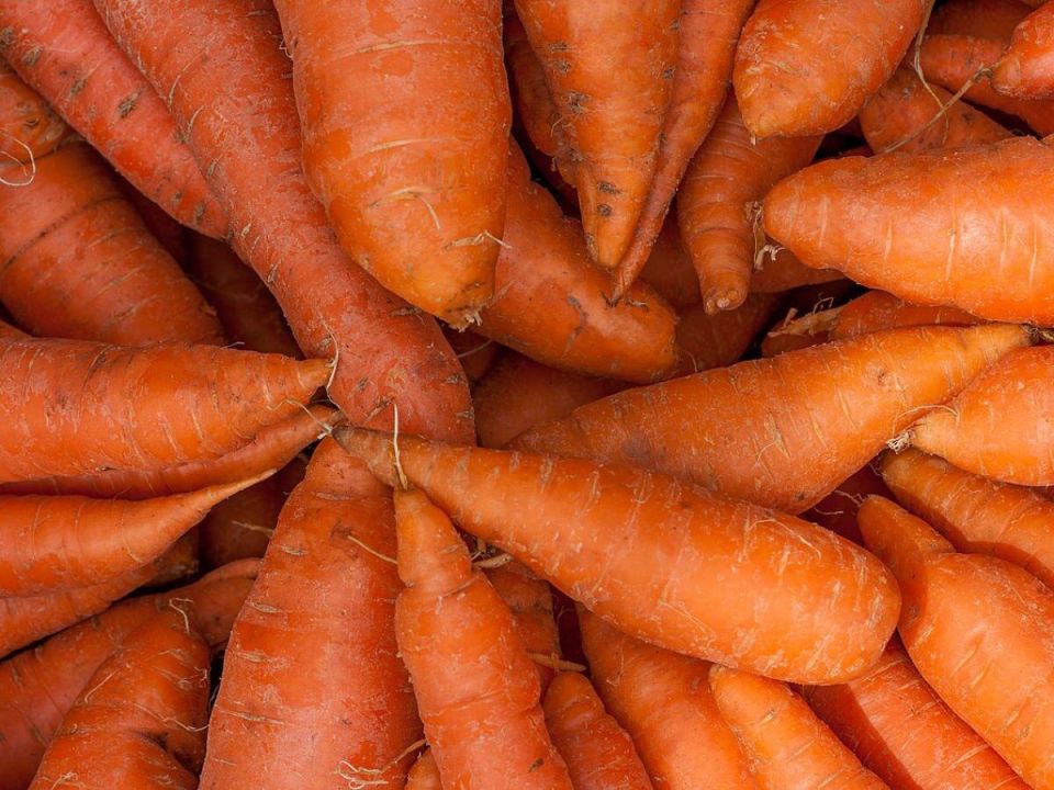 ��� ������� ������� �� ����������: �������� ������ � ������������