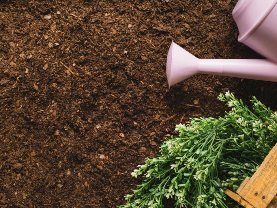 ���������� ��������: ��� ���������� �������� ���� ������