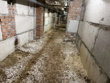 Муниципальный жилищный контроль помогает жителям решать проблемы с подтоплением подвалов