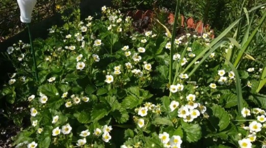 ������� ��������� ����� �� ��������� �� ������� ����������