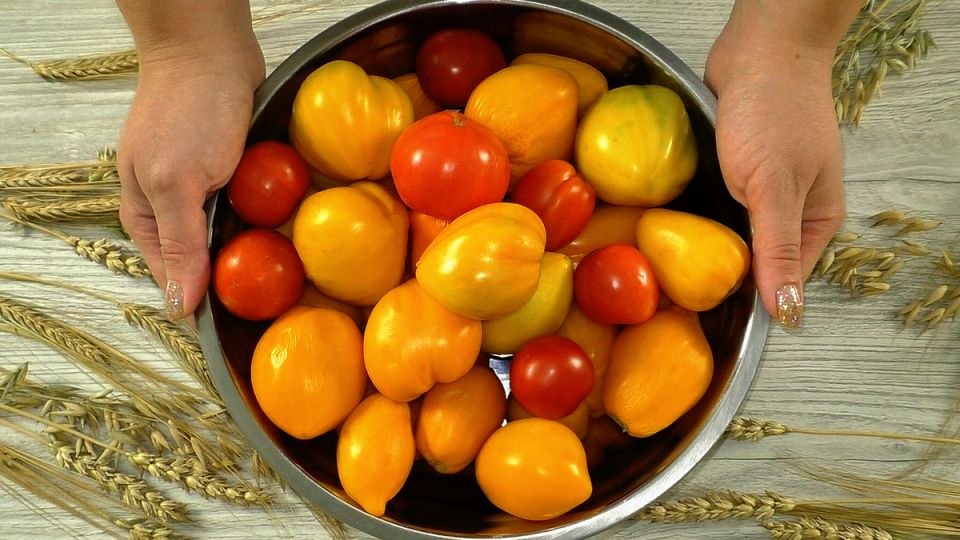 ��������� �������� �� ����: ��������� � ������� ������