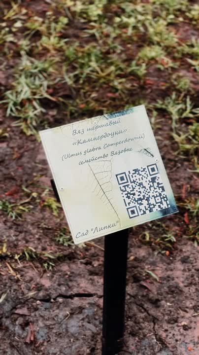 ������� � ���� ����� ����������