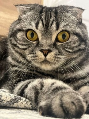 � ������� 3 ������ � ����������� ������� ����� �������� � ��������