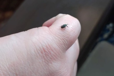 ��� �������� ������ �� ��������: ������ ��� ��������� �����