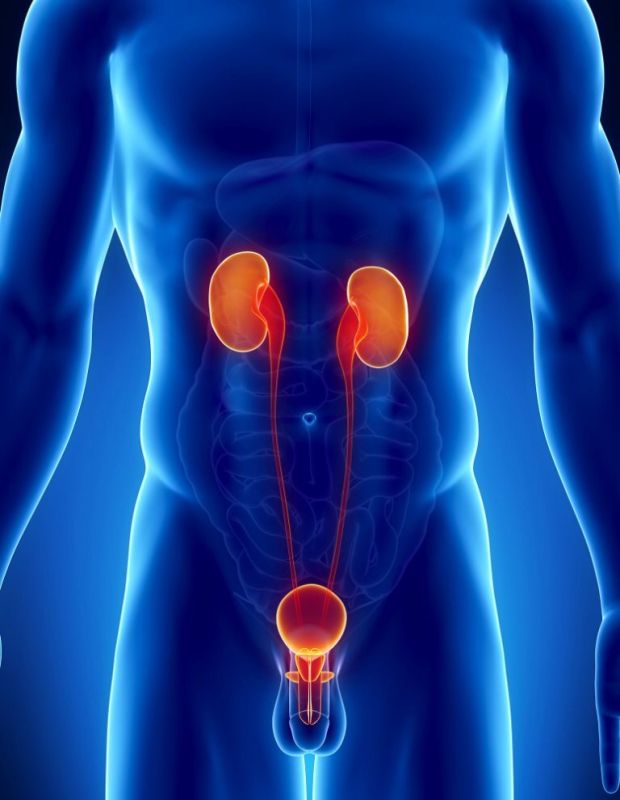 ����� � ������: ��� �������� ���� ������� � ��������� ��������