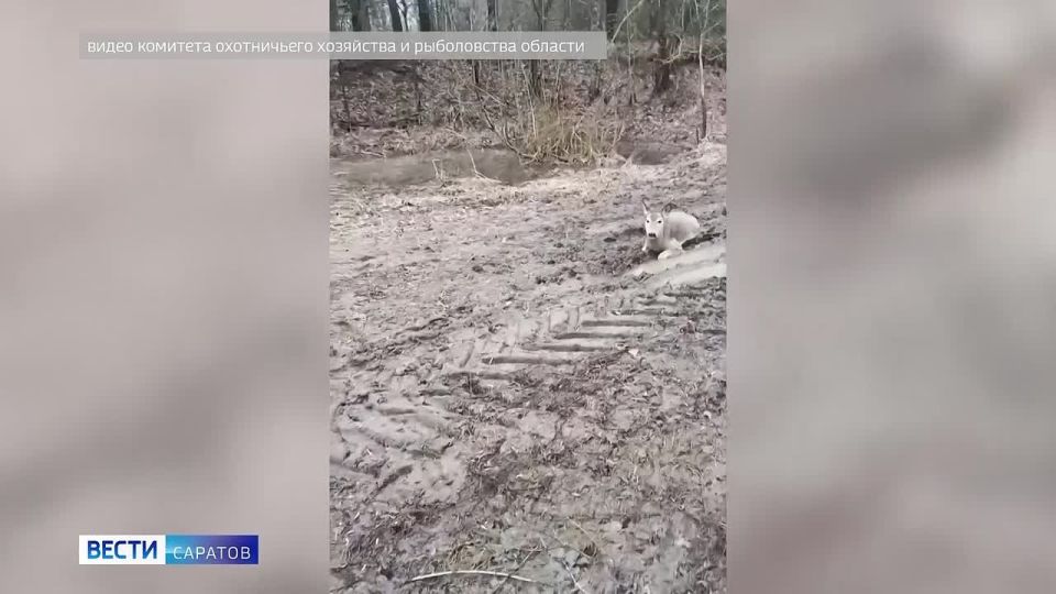 �������� ��������. ���������� ��������� ������������ ������ ������, ������� �� ����� �������������� �������������