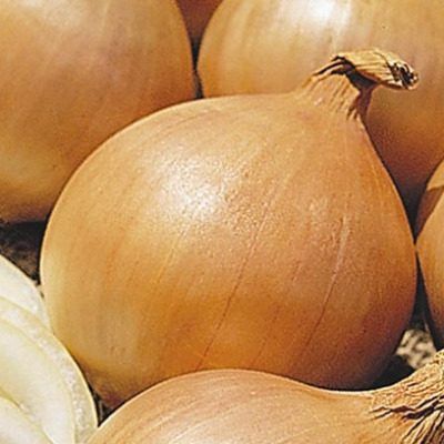 ��� ����: ������� ���� � ������� ������������ � �������� ��������