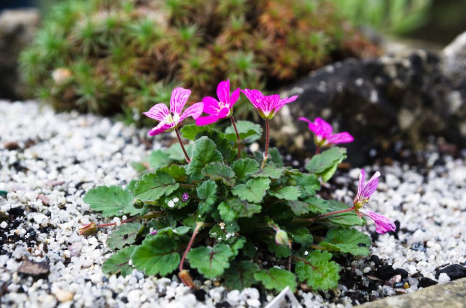 ���������� ���������: ��� ������� ��������� ������ ������� � ����� ����