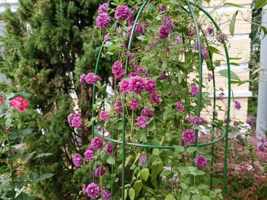 ������� ������� ������� ���������: ��������� ����������� ��� ���������