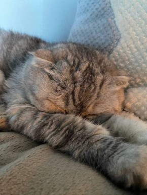 В Саратовской области днем 5 апреля, в воскресенье, прогнозируется облачная погода с прояснениями, сообщает Гидрометцентр