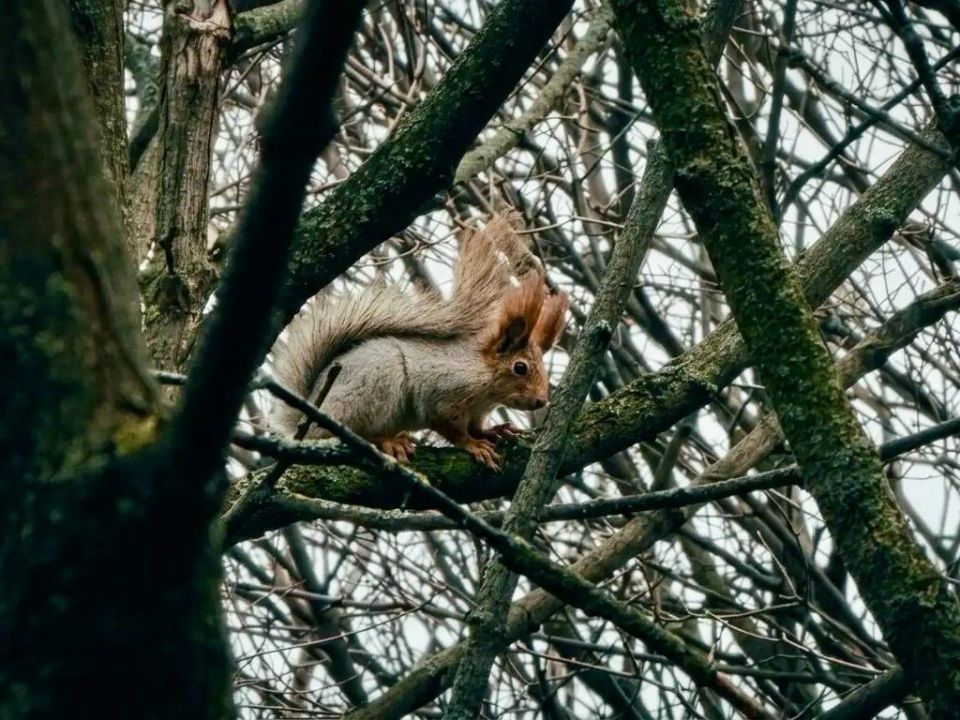 ������� ������� � � ������ ������ � ����� ����