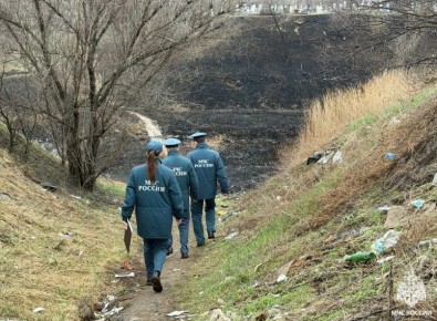 В Саратовской области горит сухая трава