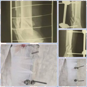 65-������ ��������� ��� ������� ������ ���� ������� ������� ����� ������ ������