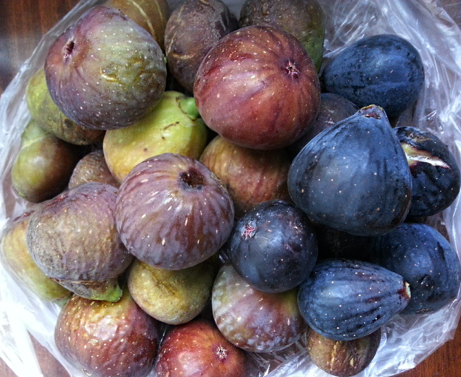 Исследуйте загадочный мир инжира