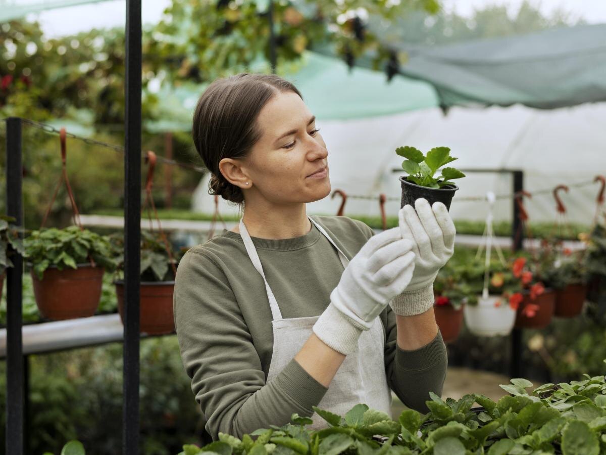 Летняя забота о контейнерных растениях: советы по выживанию в жару