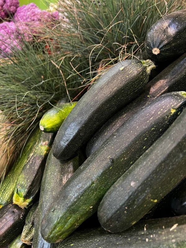 ��������������� �����: ������ ������� ��� ��������� ������