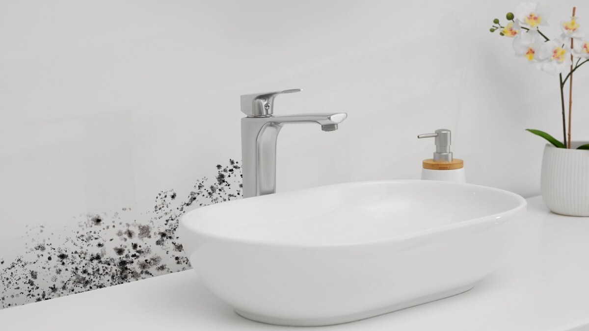 Эффективные методы борьбы с плесенью на герметике в санузле