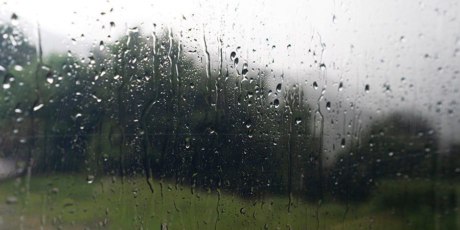 � ����������� ������� ������������ ��������� ���� � ������� ������