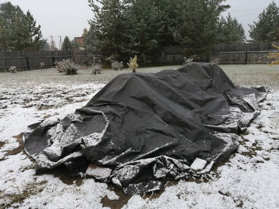 ��������� ���������� �����: ��� ���������� ������ ������ ���� ����������� ��������