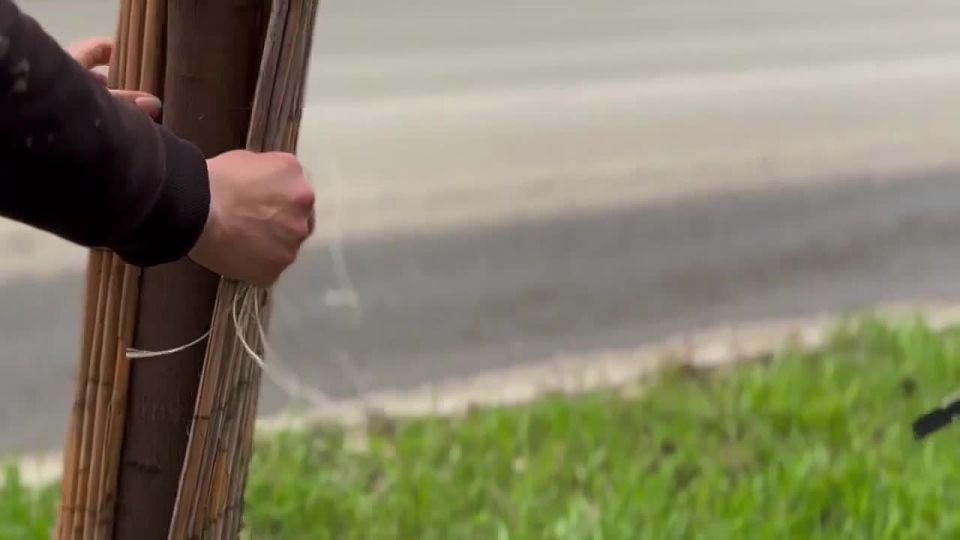 � ������� ������ ������� ������ �� ���������� ������� ���